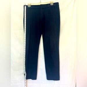 Banana Republic Navy Sloan Pants